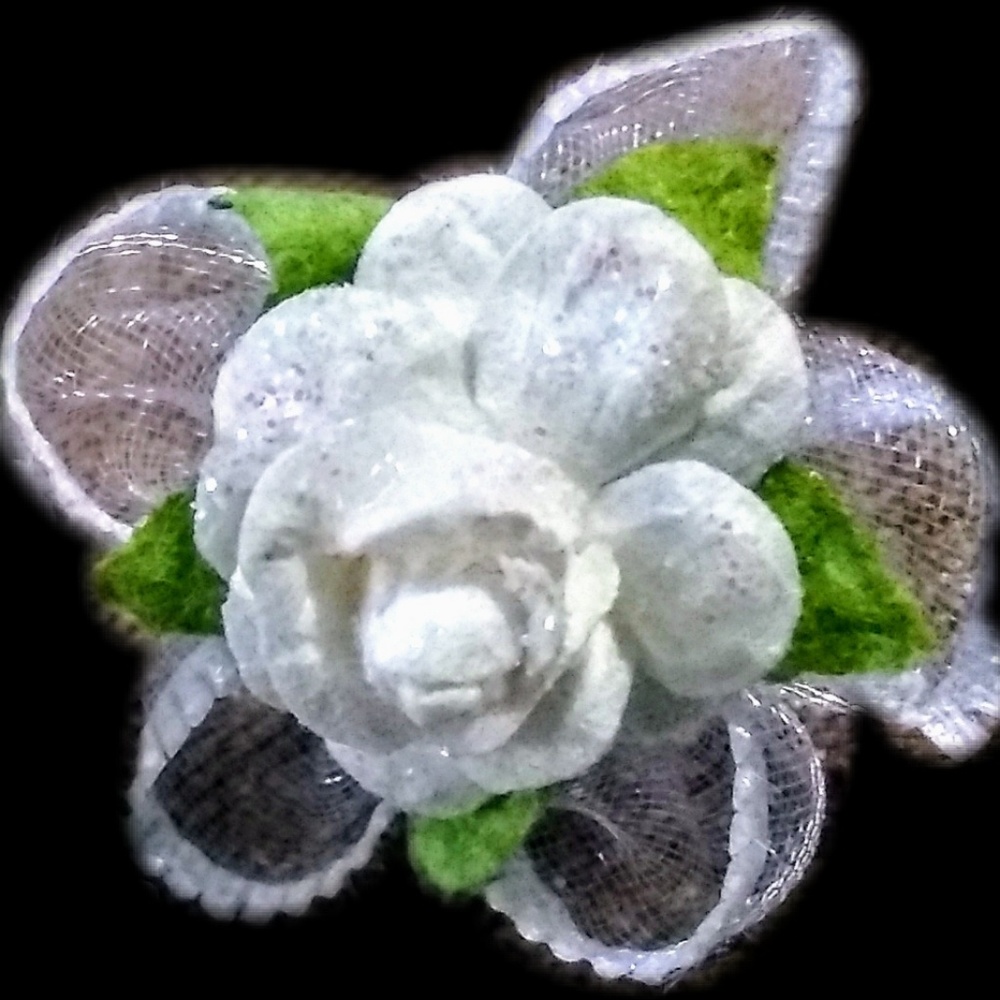 WHITE ROSE OF PEACE - Picture 3 of 6